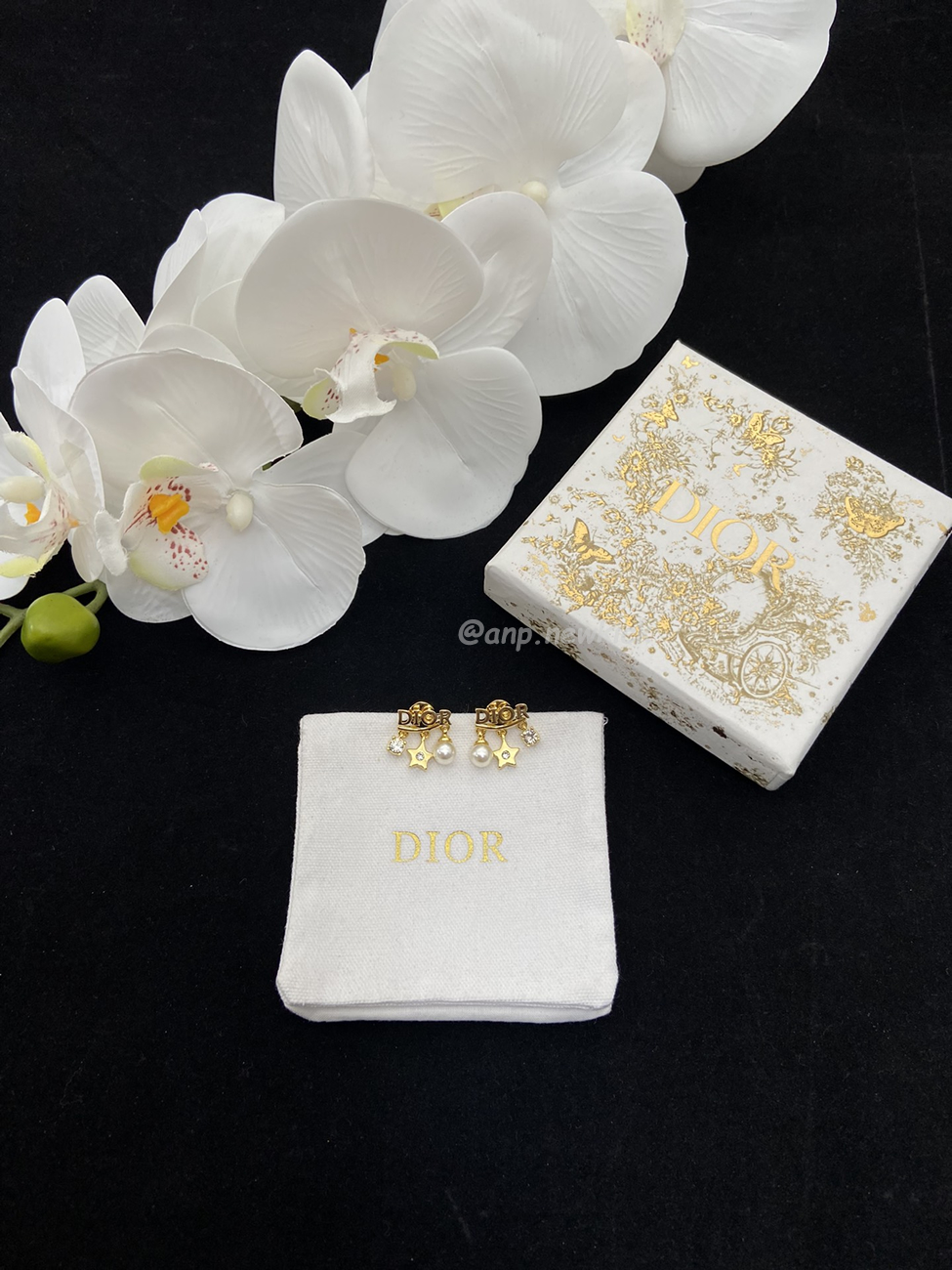 Dior Earrings (10) - www.newkick.org